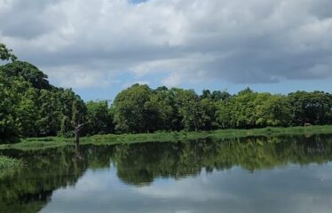 LOTES PARA VILLAS EN EL RESIDENCIAL CIUDAD DEL LAGO EN SANTO DOMINGO NORTE