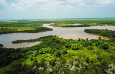 SOLARES PARA VILLAS EN LAGO DE REYES
