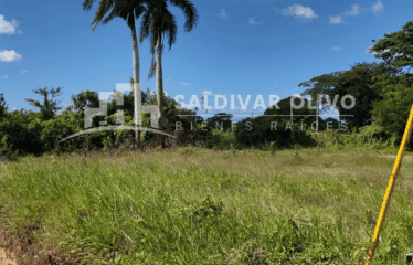 VENDO SOLAR DE 1200 METROS EN LA CARRETERA LA VICTORIA DENTRO DEL RES. DON MARCOS