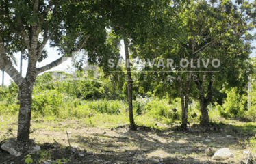 SOLAR EN EL RESIDENCIAL LAS ACACIAS