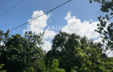 SOLAR PARA PROYECTOS O INVERSION DE 1,384.84 MT2 FRENTRE A LA AVENIDA LOS RESTAURADORES DE SABANA PERDIDA SDN