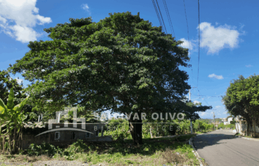 SOLAR DE 240 METROS CON SU TITULO DISPONIBLE EN LA URBANISACION LOS PALMARES EN SANTO DOMINGO NORTE