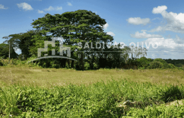 VENDO SOLAR DE 1200 METROS EN LA CARRETERA LA VICTORIA DENTRO DEL RES. DON MARCOS