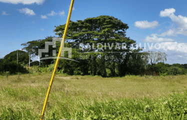 VENDO SOLAR DE 1200 METROS EN LA CARRETERA LA VICTORIA DENTRO DEL RES. DON MARCOS