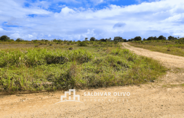 LOTES CON SUS TITULOS Y SERVICIOS PROXIMO A SAN LUIS, SANTO DOMINGO ESTE