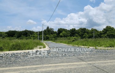 LOTES CON SUS TITULOS Y SERVICIOS BASICOS LISTOS PARA CONTRUIR