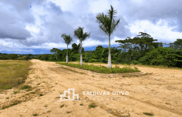 NUEVO LOTES CON SUS TITULO EN EL GRAN SANTO DOMINGO