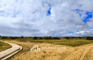NUEVO LOTES CON SUS TITULO EN EL GRAN SANTO DOMINGO