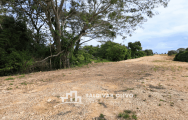 TERRENO IDEAL PARA INVERTIR EN LA CARRETERA MELLA SANTO DOMINGO ESTE
