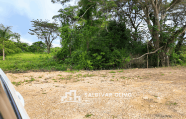NUEVO LOTES CON SUS TITULO EN EL GRAN SANTO DOMINGO