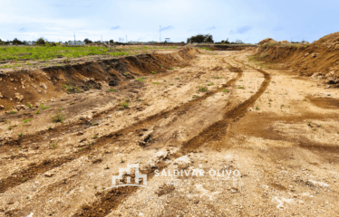 NUEVO LOTES CON SUS TITULO EN EL GRAN SANTO DOMINGO